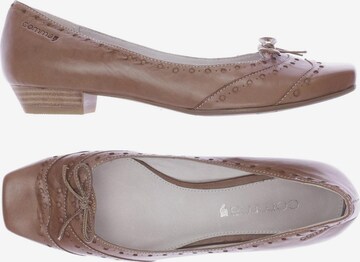 COMMA Flats & Loafers in 41 in Beige: front