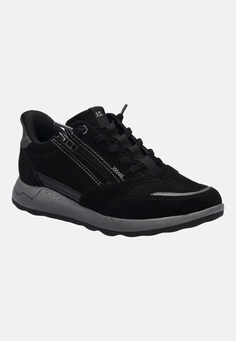 JOSEF SEIBEL High-top trainers in Black
