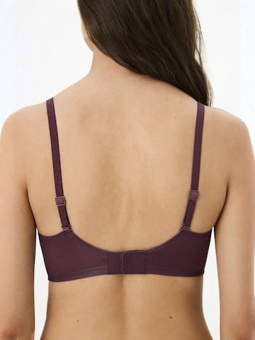 Penti Trójkąt Biustonosz 'BHs & Bralettes' w kolorze fioletowy