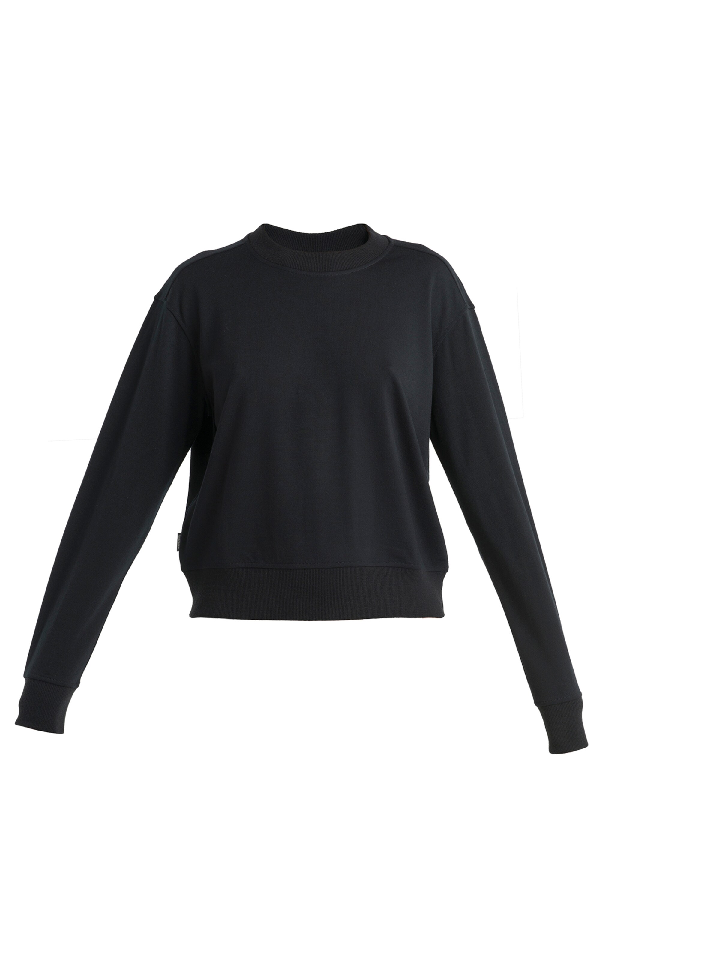 ICEBREAKER Sweatshirt 'Crush II' in Schwarz: Vorderseite