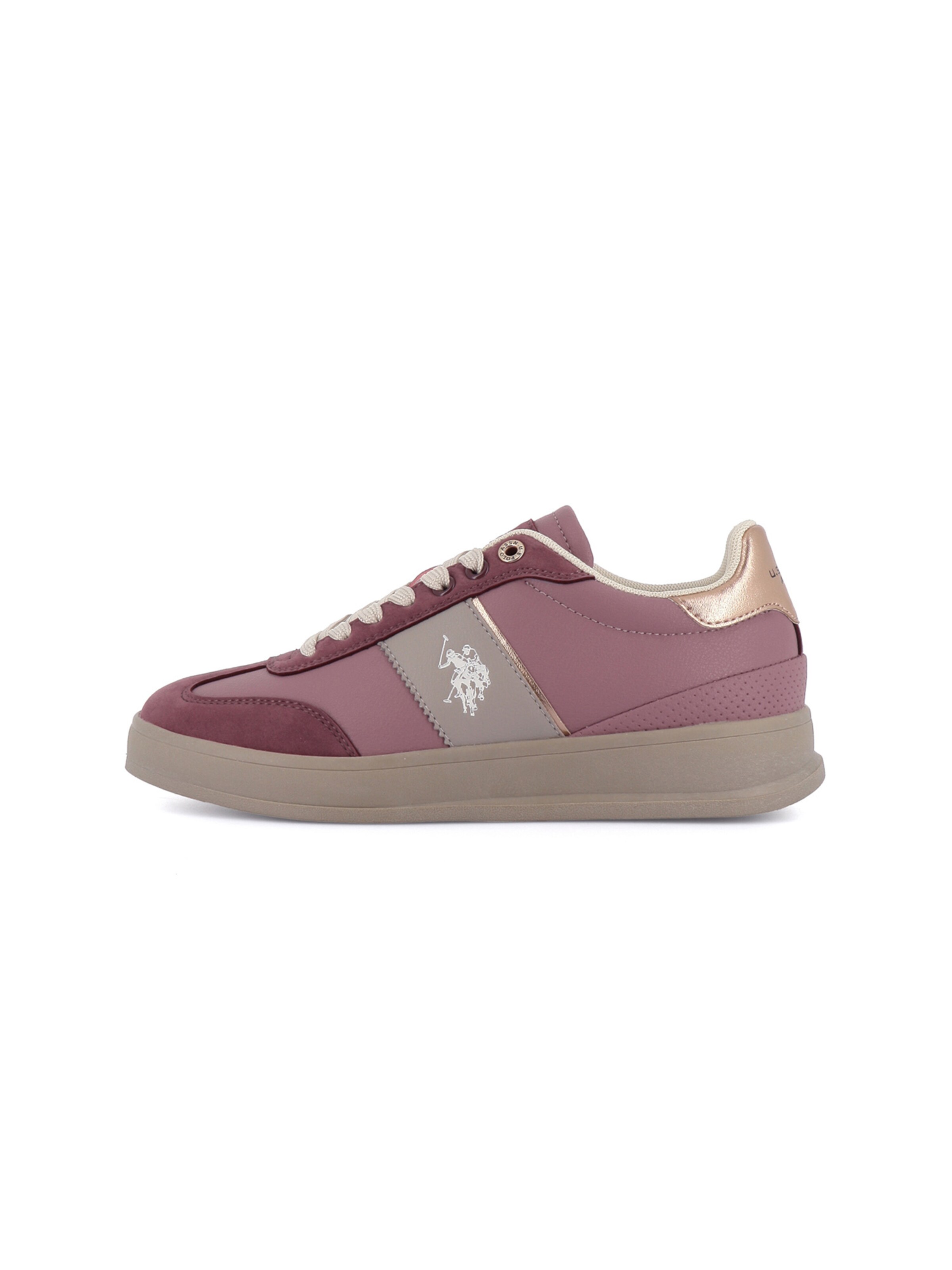 Baskets basses 'Campy' US POLO ASSN. en violet : devant