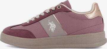 Baskets basses 'Campy' US POLO ASSN. en violet : devant