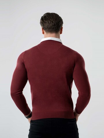 PANTONECLO Sweater 'Pantoneclo Men’s Mock Sweater' in Red
