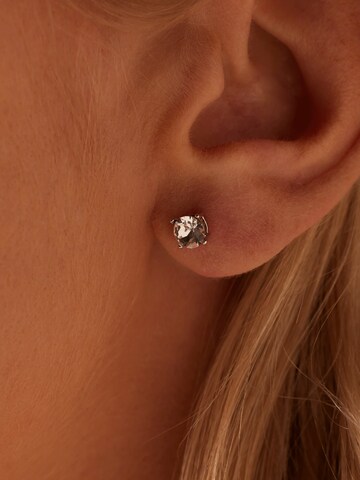 Boucles d'oreilles Lucardi en argent : devant