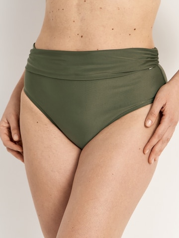 Bas de bikini Cellbes of Sweden en vert