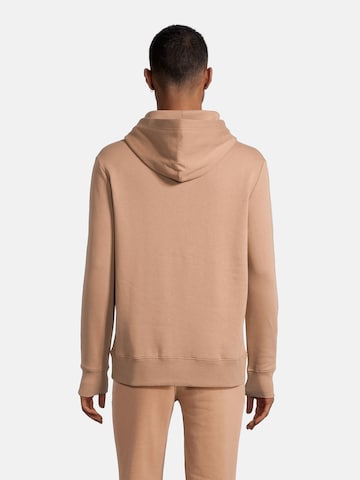 AÉROPOSTALE Sweatshirt in Brown