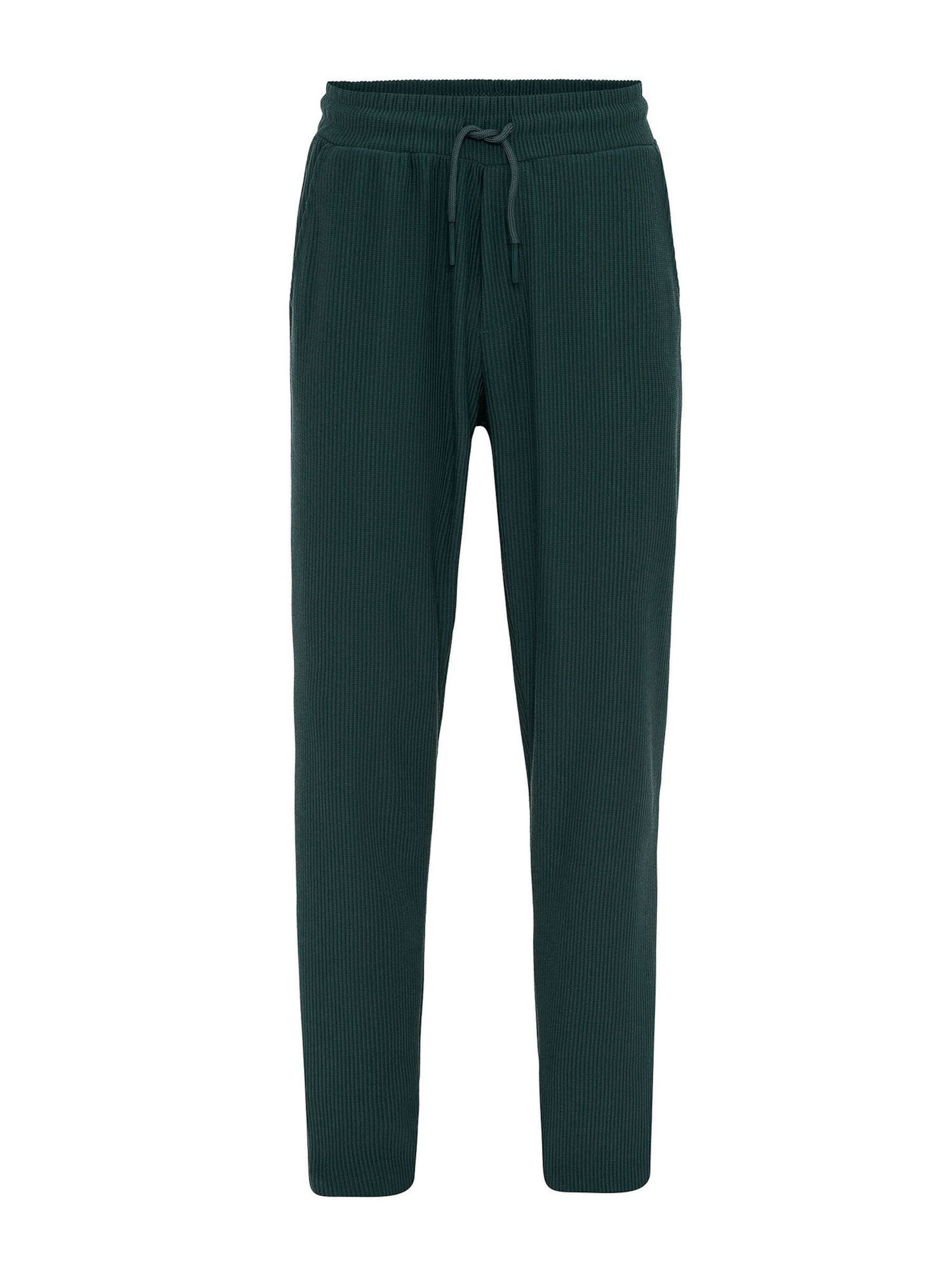 Dandalo Trousers in Green: front