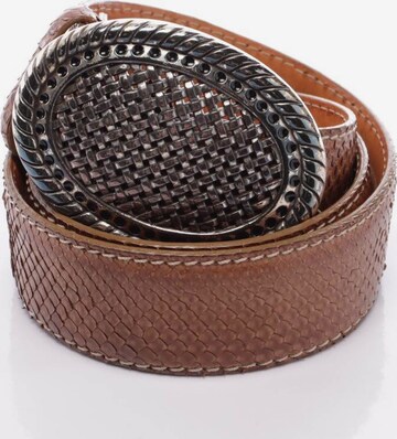 Reptile's House Belt in M in Brown: front