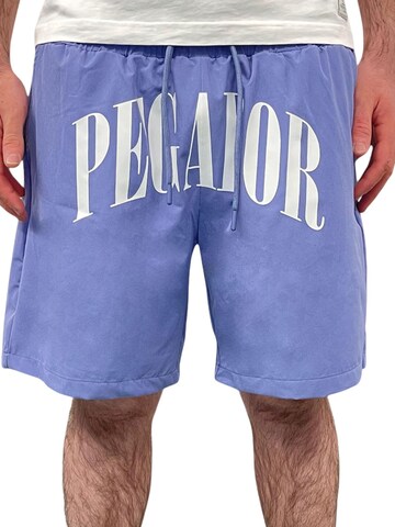 Pegador Board Shorts 'Lisgar' in Purple: front