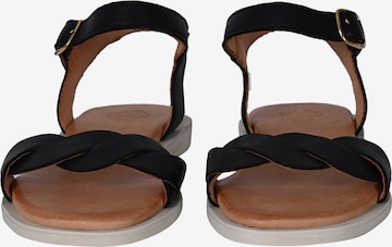 Apple of Eden Sandalen met riem 'AVA' in Zwart