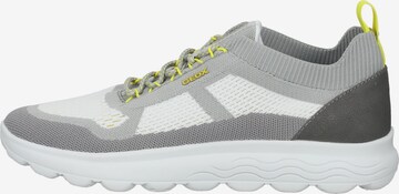 GEOX Sneaker in Grau