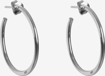 Boucles d'oreilles 'Everyday' Haze&Glory en argent