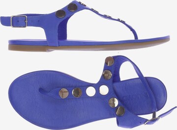 INUOVO Sandals & High-Heeled Sandals in 40 in Blue: front