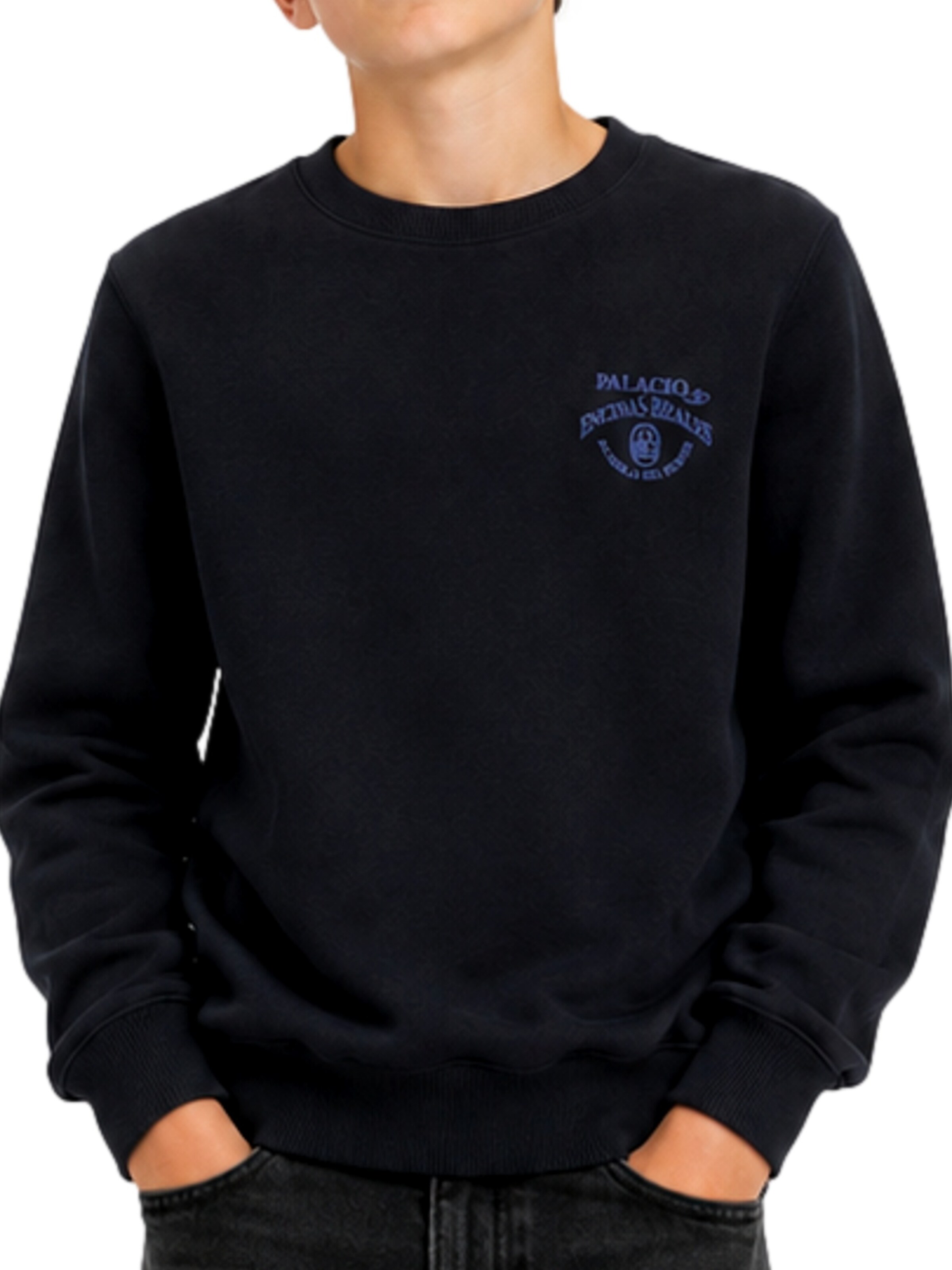 Jack & Jones Junior Sweatshirt 'Chamberi' i sort