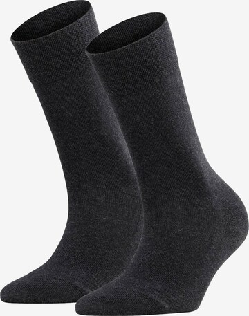 FALKE Socks in Grey: front