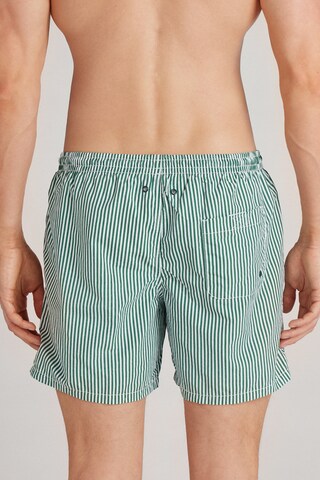 INTIMISSIMI Board Shorts in Green