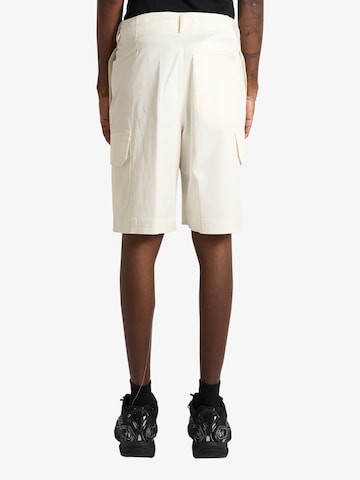 DARK LABEL Regular Pleat-Front Pants in Beige