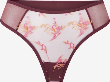 String LingaDore en rouge : devant