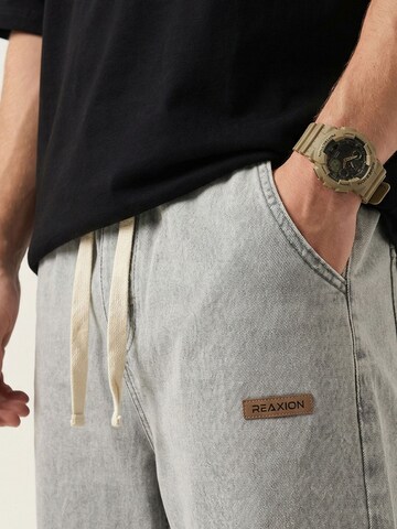 regular Pantaloni di Bigdart in grigio