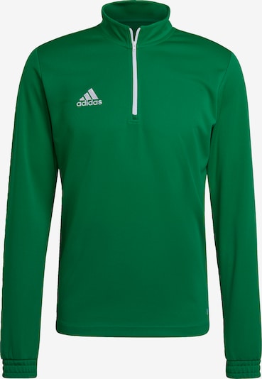 ADIDAS PERFORMANCE Urheilullinen collegepaita 'Entrada 22' värissä vihreä / valkoinen, Tuotenäkymä