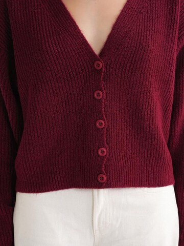 MixRay Knit Cardigan in Red
