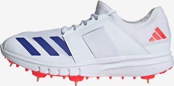 ADIDAS PERFORMANCE Sports shoe 'Howzat Spike 20' in White: front
