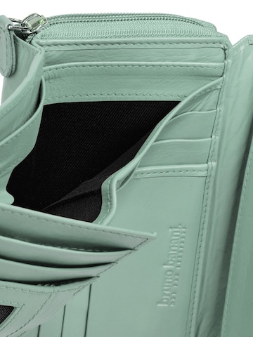 Bruno Banani Wallet in Green