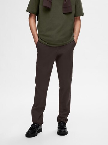 SELECTED HOMME Slimfit Chino nadrág 'Miles Flex' - barna: elől