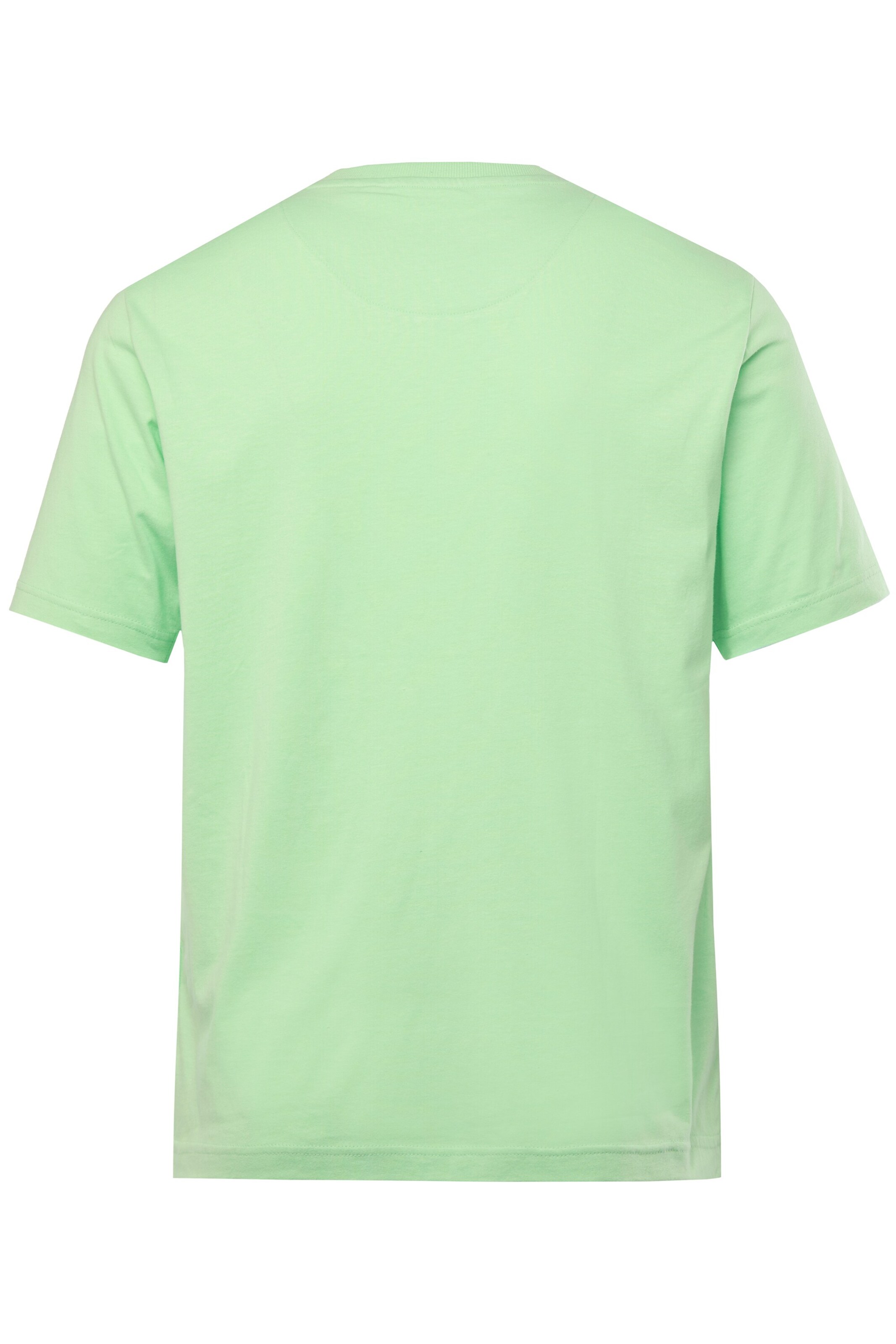 Men Plus T-Shirt in Grün