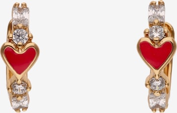 Boucles d'oreilles faina en or : devant