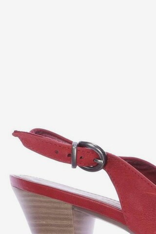 MARCO TOZZI Sandals & High-Heeled Sandals in 40 in Red