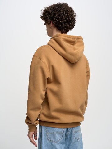 BIG STAR Sweatshirt 'ASHLYNO' in Brown
