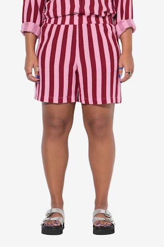 Studio Untold Regular Shorts in Pink: Vorderseite