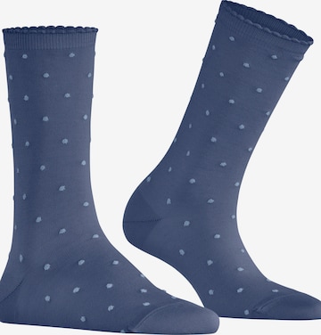 FALKE Socks 'Spike Dot' in Blue: front