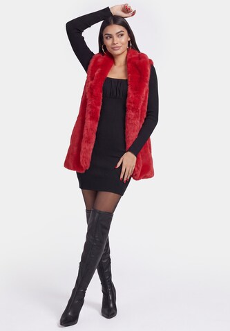 faina - Colete em vermelho