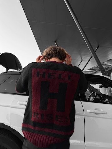 Kleidermafia Pullover‌‌‌‌ in Rot