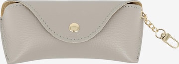 Brise Case 'Brillenetui' in Grey: front