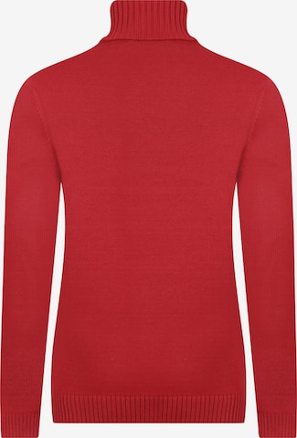 DENIM CULTURE - Pullover 'Estelle' em vermelho