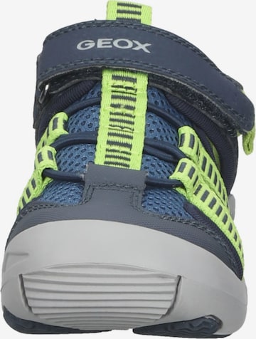 Chaussures ouvertes GEOX en bleu