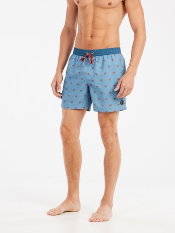 PROTEST Swimming shorts 'PRTParco' in Blue