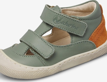 NATURINO Open schoenen 'IRTYS' in Groen: voorkant