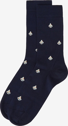 CALZEDONIA Socks in Blue: front