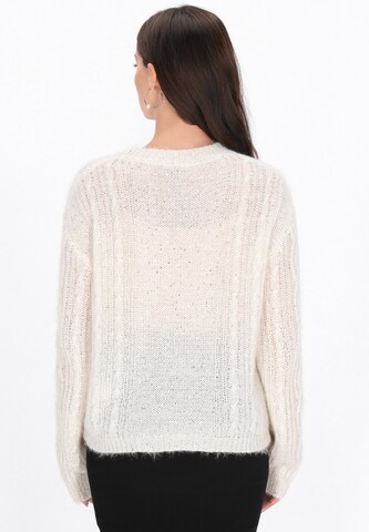 Usha Pullover in Beige