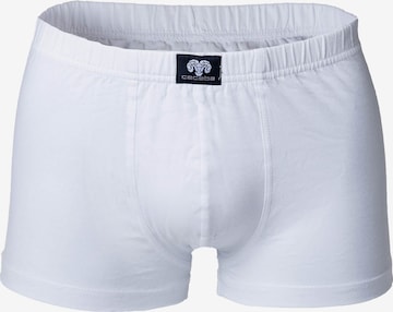 CECEBA Boxer shorts in White