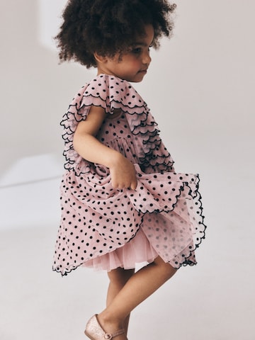 Next Kleid in Pink