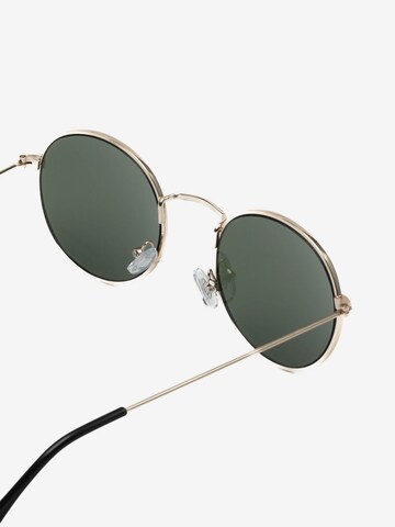 ECO Shades Sunglasses in Green