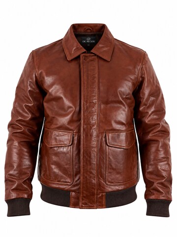 Giacca di mezza stagione 'Classic Bomber' di Chic and Clicks in marrone: frontale