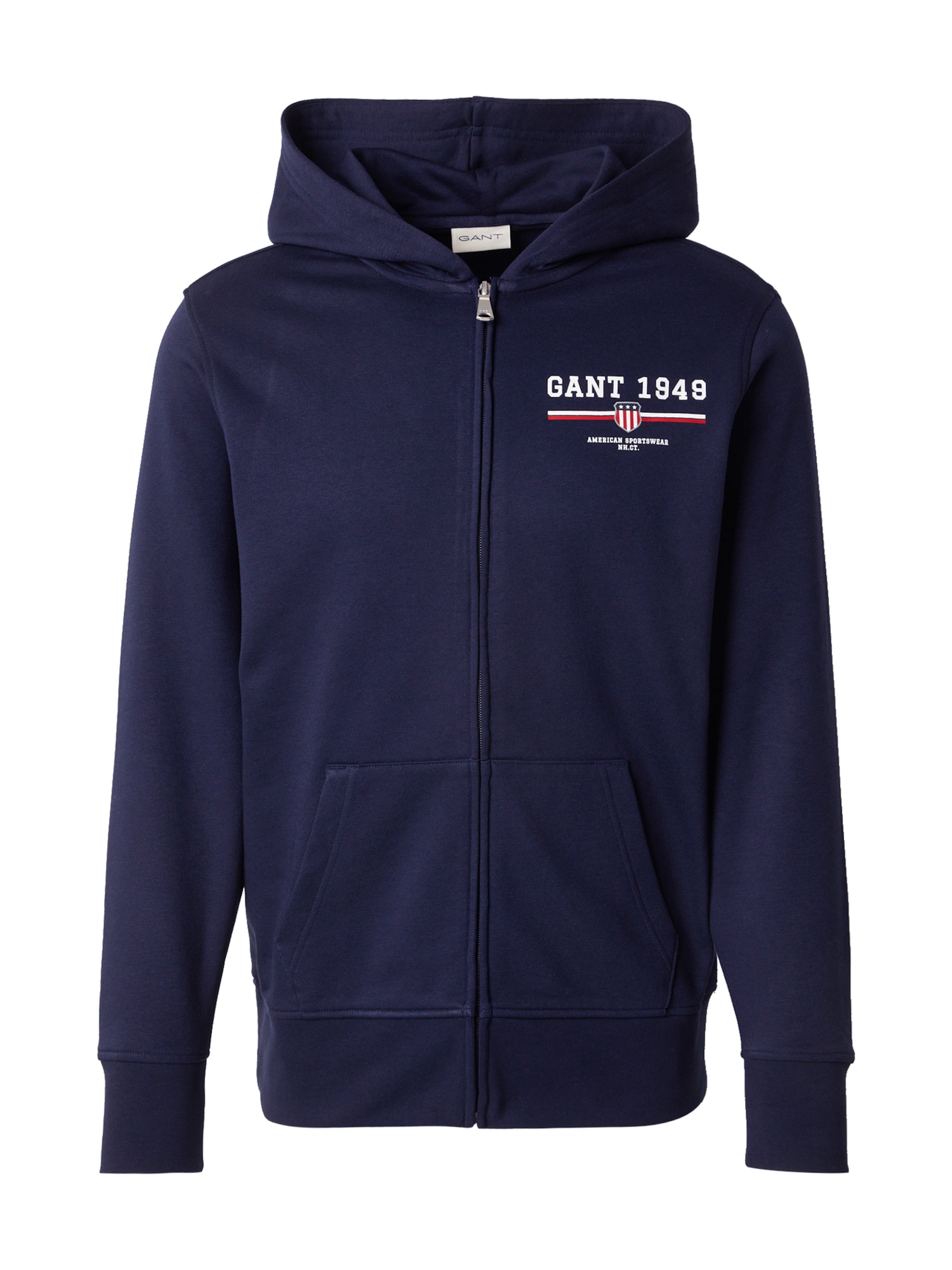 mėlyna GANT Džemperis: priekis