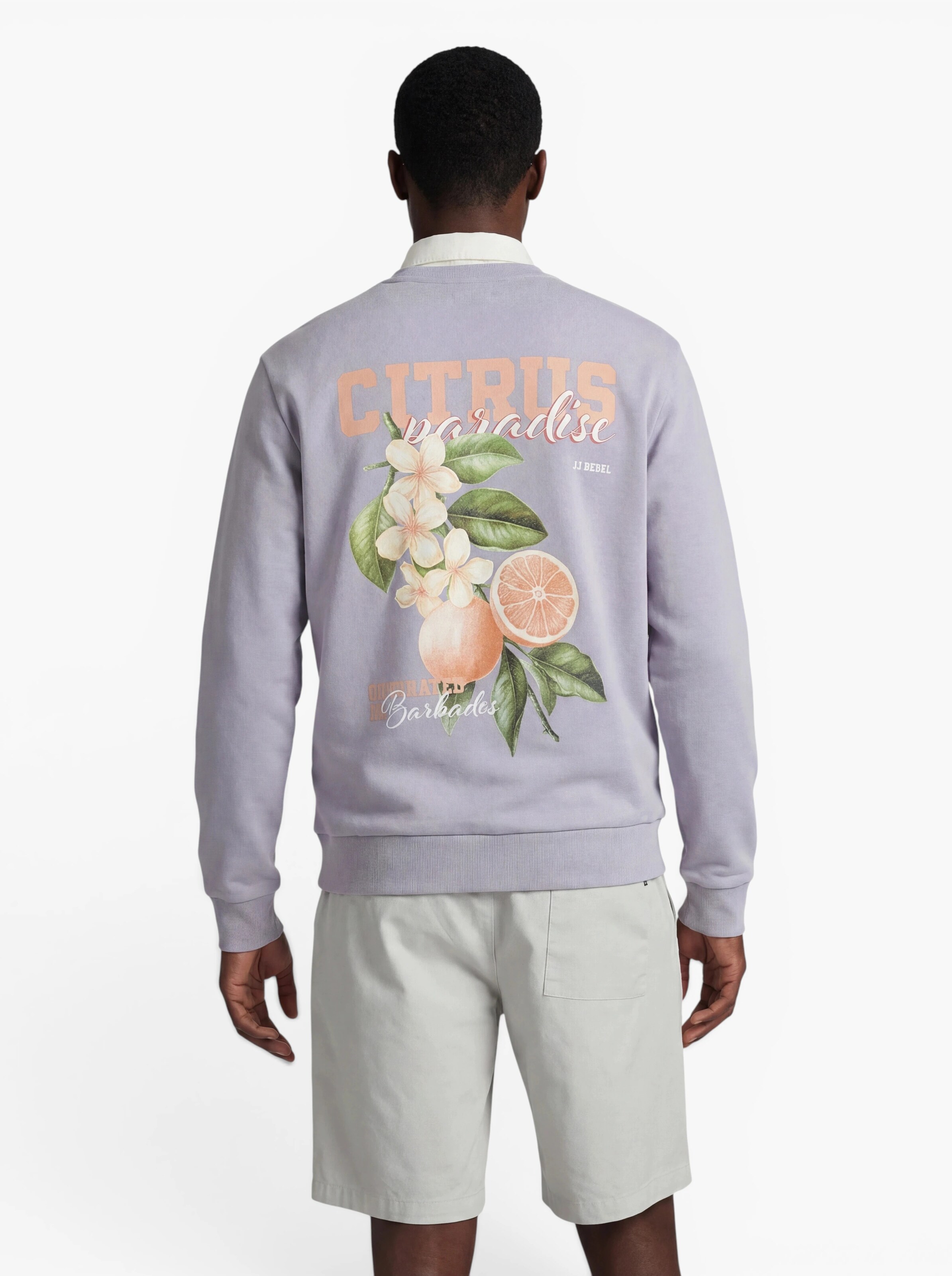 JJ Rebel - Sweatshirt 'JREBAARON' em roxo