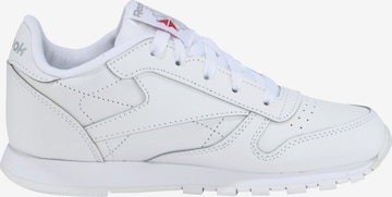 Reebok Sneaker 'Classic' in Weiß